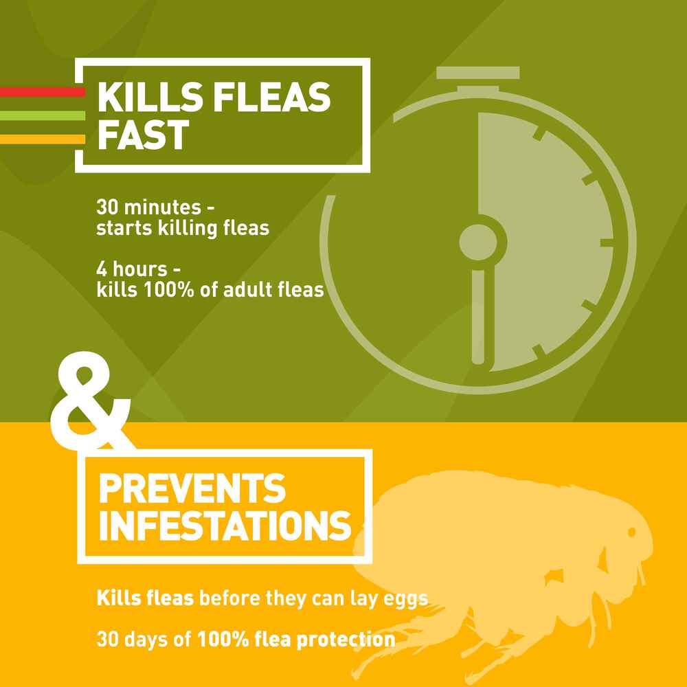 Trifexis 1800petmeds