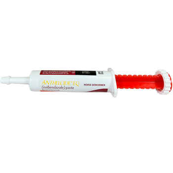 Anthelcide EQ Paste Oral Syringe