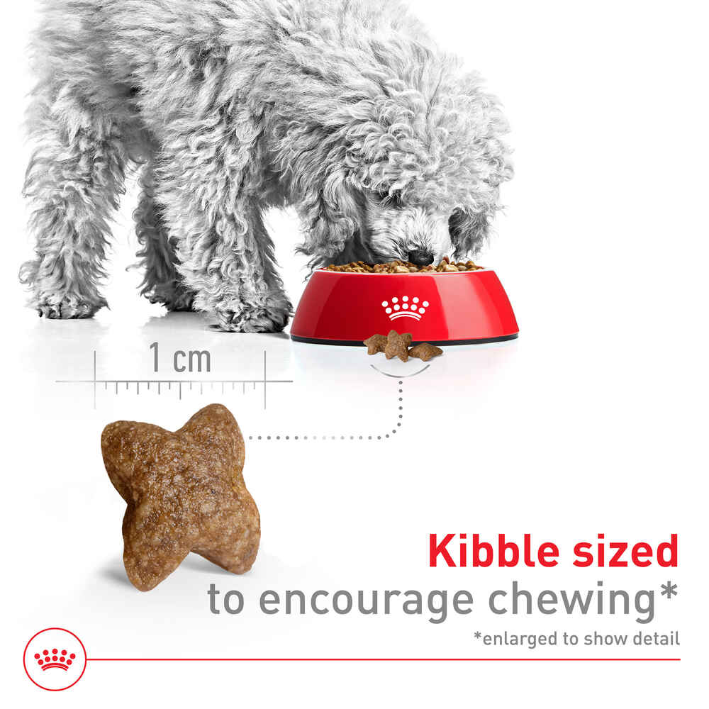 Royal Canin Size Health Nutrition Small Breed Adult Dry Dog Food