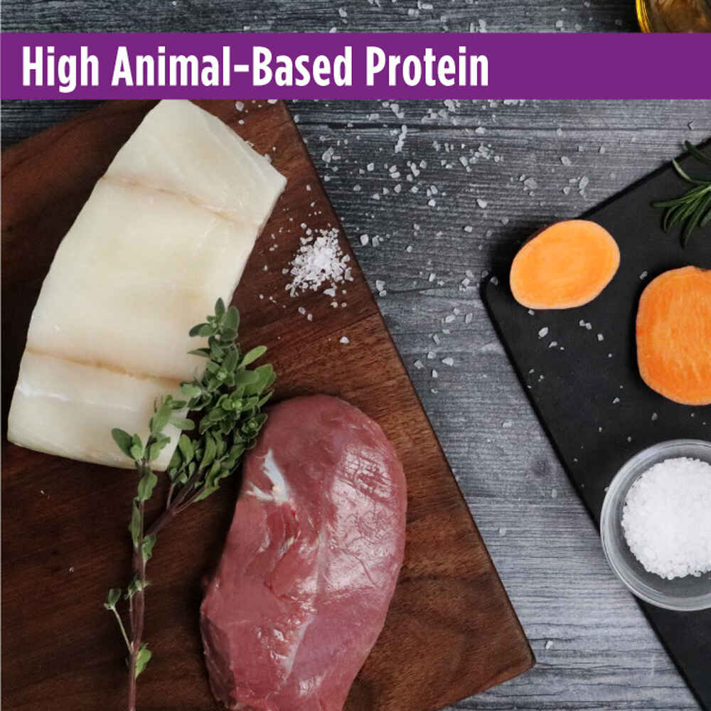 Nulo FreeStyle Adult Grain-Free Hairball Management Turkey & Cod Dry Cat Food