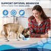 Forza10 Nutraceutic Sensitive Behavioral Plus Grain Free Dry Dog Food 4 lb Bag