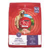 Purina ONE +Plus Vibrant Maturity, High Protein, Adult 7+ Chicken Dry Dog Food
