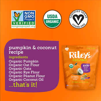 Riley's Organic Pumpkin & Coconut Treat