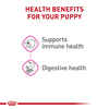 Royal Canin Canine Health Nutrition Puppy Wet Dog Food - 13.5 oz Cans - Case of 12