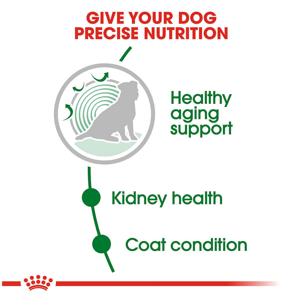 Royal Canin Size Health Nutrition Small Breed Aging 12+ Dry Dog Food