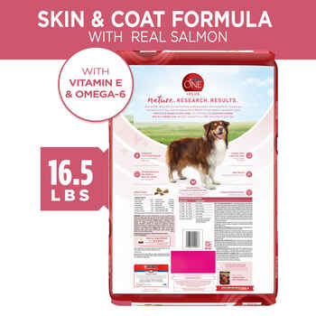 Purina ONE +Plus Skin & Coat Formula Sensitive Stomach Salmon Dry Dog Food