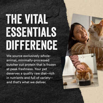 Vital Essentials Vital Cat Freeze Dried Grain Free Chicken Giblets Cat Treats 1.0 oz