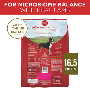 Purina ONE Natural SmartBlend Lamb & Rice Dry Dog Food 16.5 lb Bag
