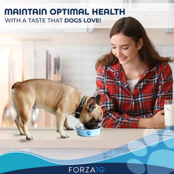 Forza10 Nutraceutic Active DepurA Diet Fish Dry Dog Food 6 lb Bag