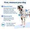 PetSafe Easy Walk Harness No Pull Dog Harness - Small - Charcoal
