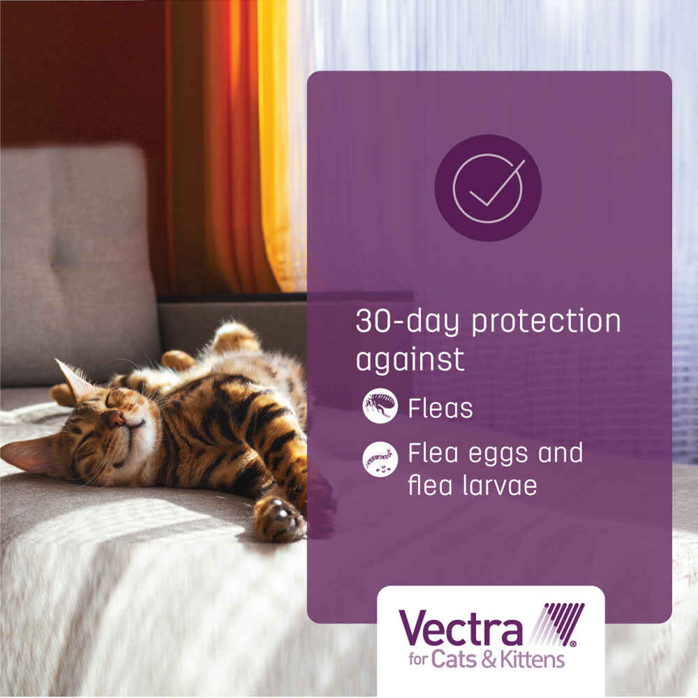 Vectra for Cats