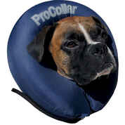 ProCollar Premium Inflatable Protective Pet Collar - Large