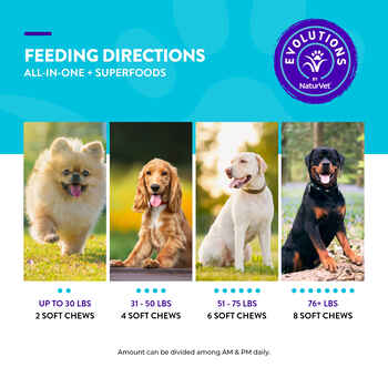Evolutions by NaturVet All-in-1 Soft Chews 90ct