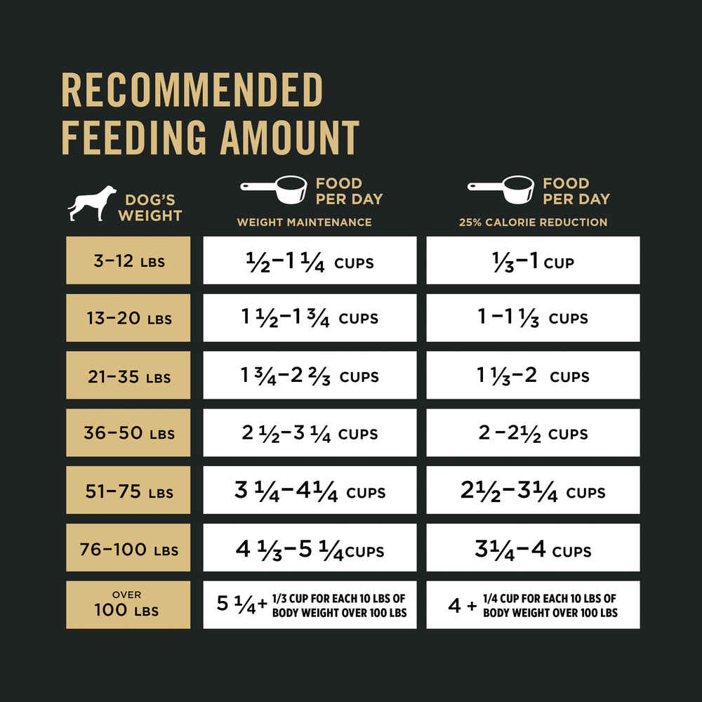 Dog Feeding How Much Should A 20 Lb Puppy Eat Should I How Much To