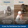 PetSafe Bolt Automatic Interactive Laser Cat Toy