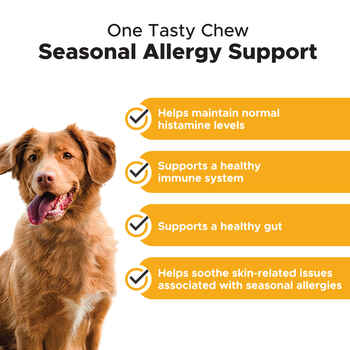 Pet Honesty Allergy Support Peanut Butter Flavored Soft Chews Allergy & Immune Supplement for Dogs 90 Count