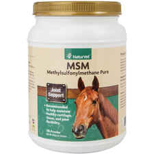 MSM Pure Powder-product-tile