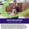 NexGard® PLUS CHEWS For Dogs 4 to 8 lbs. (Orange Box) 1 Chew (1 Month Supply)