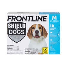 Frontline Shield 21-40 lbs, 6 pack-product-tile