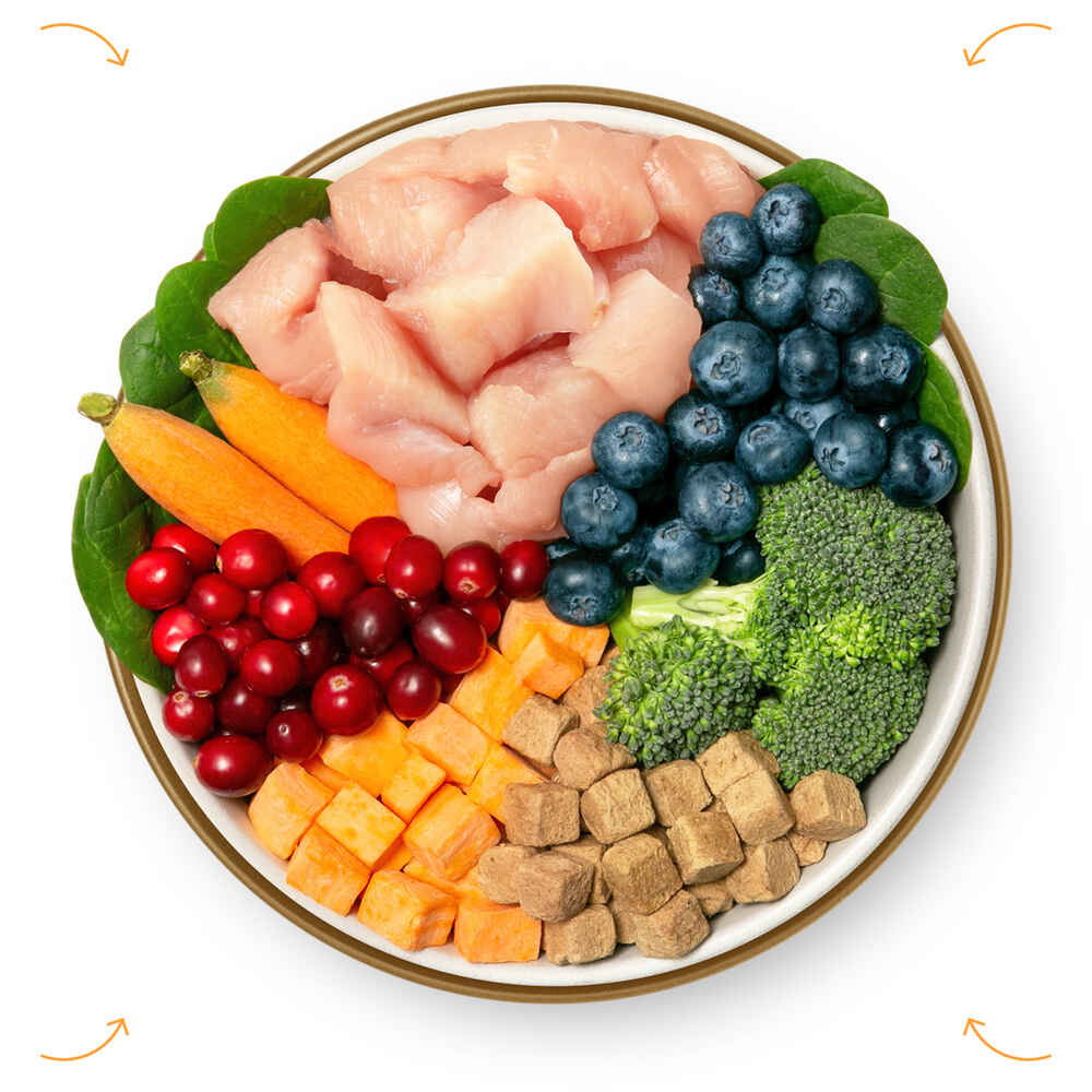 Ultimate Pet Nutrition Nutra Complete Freeze Dried Raw Chicken Dog Food