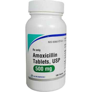 Amoxicillin 500 mg (sold per tablet) product detail number 1.0