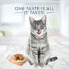 Blue Buffalo BLUE Tastefuls Adult Pate Salmon Entree Wet Cat Food 3 oz Can - Case of 12
