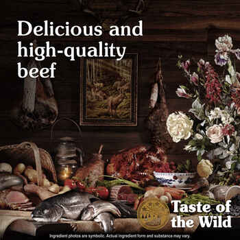 Taste of the Wild Southwest Canyon Canine Recipe Beef Wet Dog Food - 13.2 oz Cans -  Case of 12