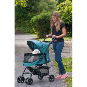 Pet Gear Happy Trails No Zip Pet Stroller - Emerald