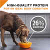 Purina Pro Plan Adult Complete Essentials Shredded Blend Beef & Rice
