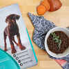 Nulo FreeStyle Puppy Grain-Free Turkey & Sweet Potato Dry Dog Food 4.5 lb Bag
