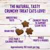 Wellness Kittles Tuna & Cranberries Recipe Crunchy Cat Treats 2 oz Bag