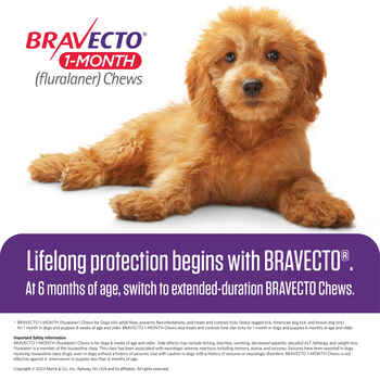 Bravecto 1-Month Chews