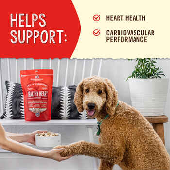 Stella & Chewy's Stella's Solutions Healthy Heart Support Chicken Freeze-Dried Raw Dog Food 13 oz Bag