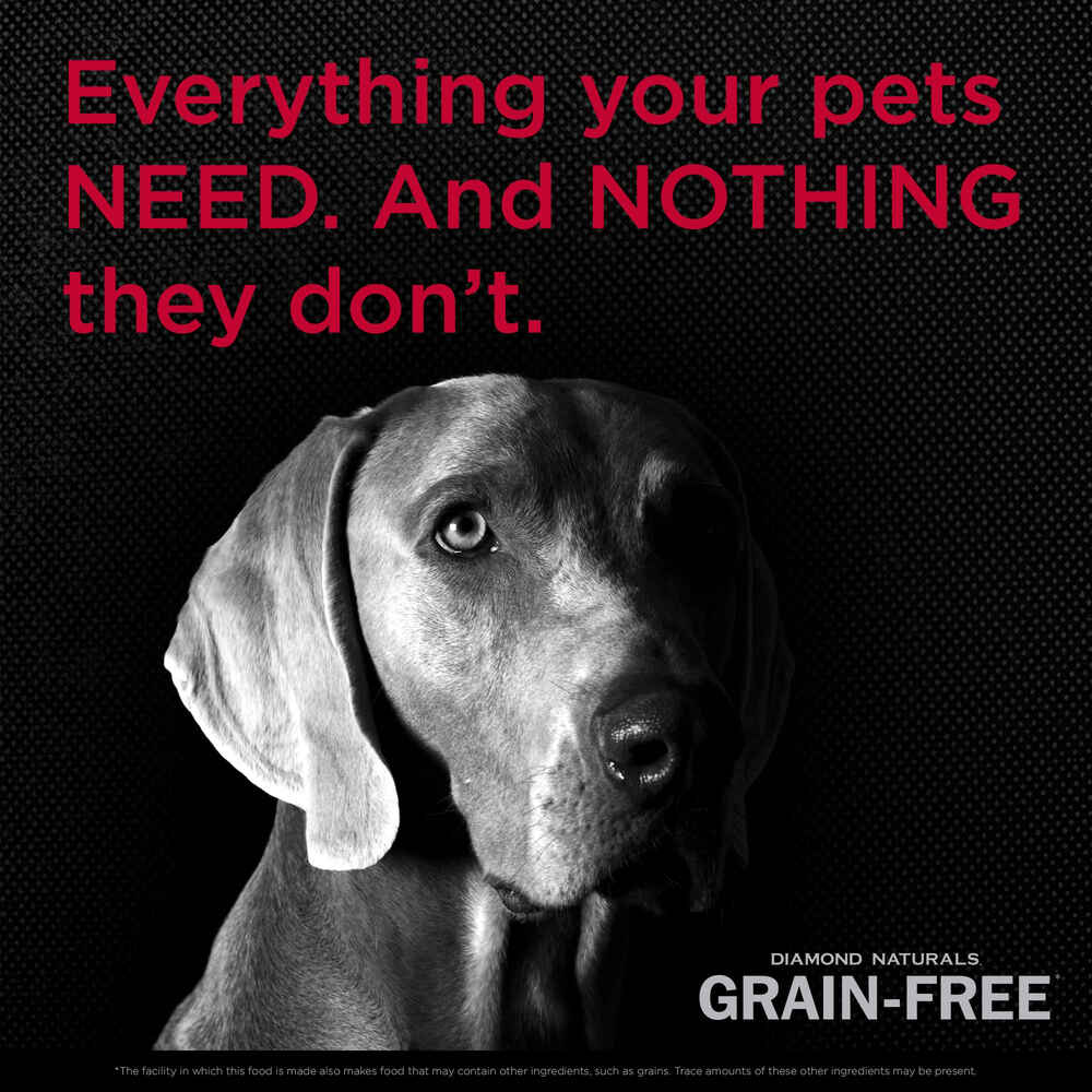 Diamond Naturals Grain-Free Pasture-Raised Beef & Sweet Potato Formula Dry Dog Food