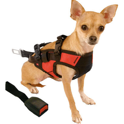 snoozer harness