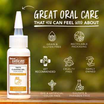 TropiClean Enticers Teeth Cleaning Gel for Dogs Pb/Honey