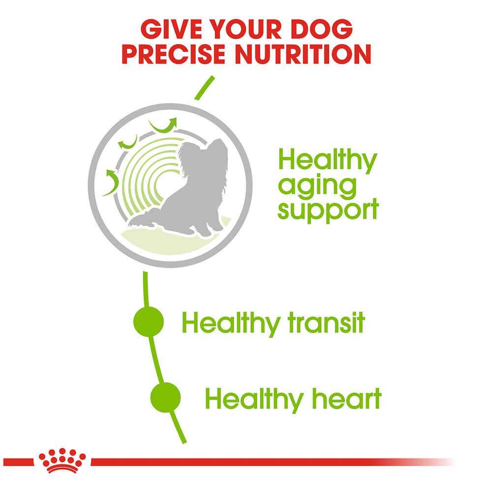 Royal Canin Size Health Nutrition X-Small Breed Aging 12+ Dry Dog Food