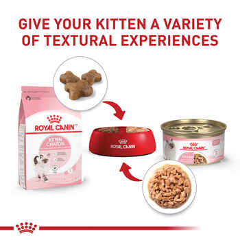 Royal Canin Feline Health Nutrition Kitten Instinctive Thin Slices in Gravy Canned Wet Cat Food 3 oz Can - Case of 12