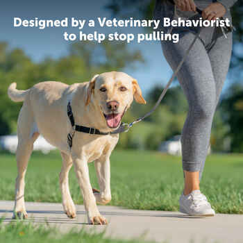 PetSafe Easy Walk Harness No Pull Dog Harness - Small - Charcoal