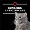 Purina Pro Plan Veterinary Diets DM Dietetic Management Feline Formula Wet Cat Food - (24) 5.5 oz. Cans
