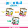 Weruva BFF Grain Free Big Feline Feast Variety Pack for Cats