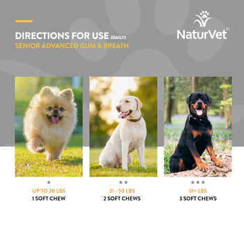 NaturVet Senior Advanced Gum & Breath Supplement for Dogs Soft Chews 45 ct