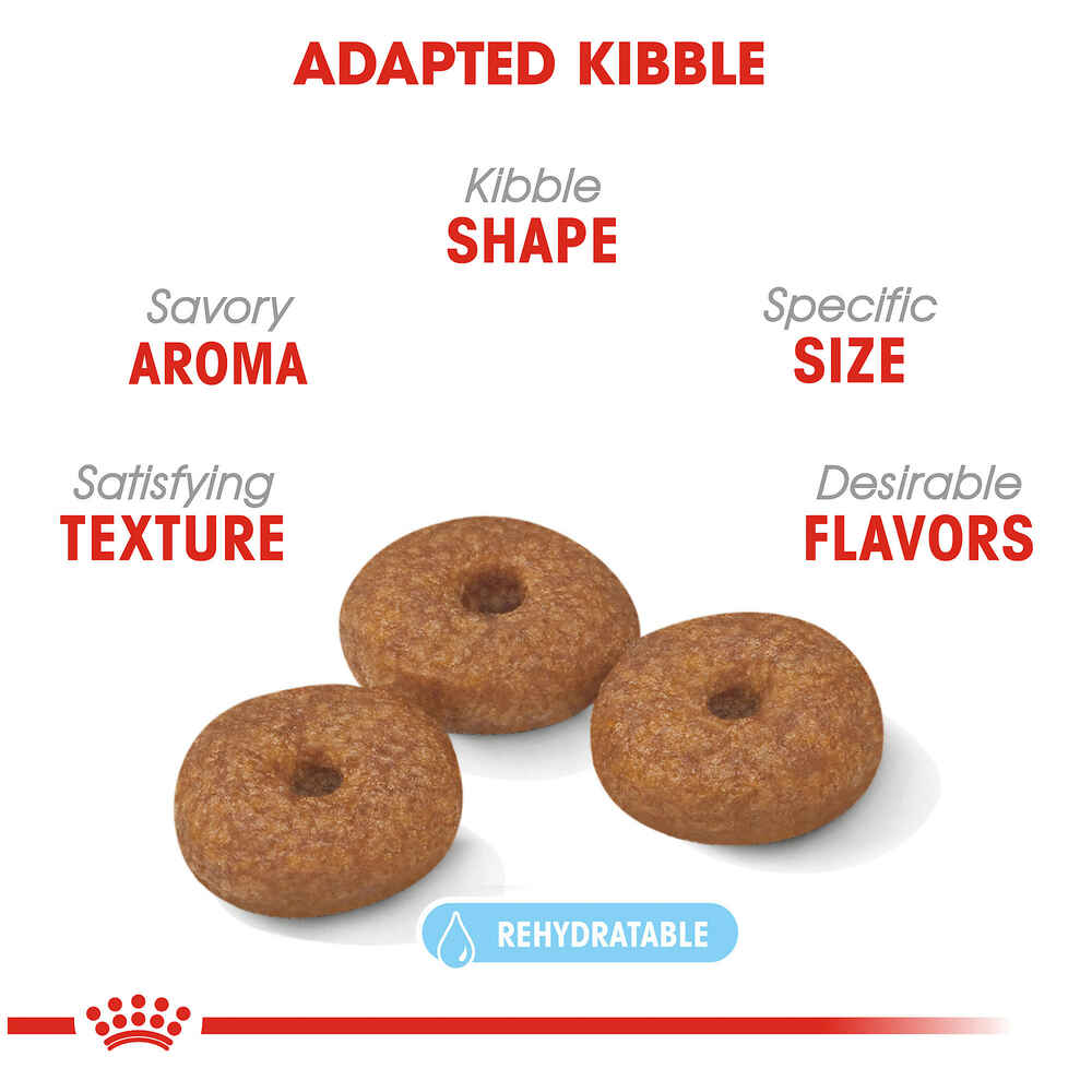 Royal Canin Size Health Nutrition Small Breed Aging 12+ Dry Dog Food