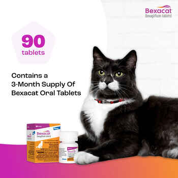 Bexacat (bexagliflozin tablets) Diabetes Mellitus Treatment for Cats 15 mg Tablet - 30 ct