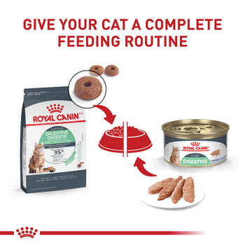 Royal Canin Feline Care Nutrition Digestive Care Loaf In Sauce Adult Wet Cat Food - 3 oz Cans - Case of 24