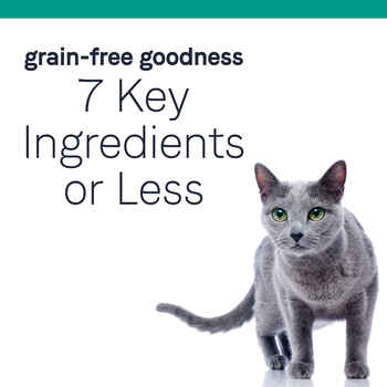 Canidae PURE Grain Free Salmon Recipe Dry Cat Food 5 lb bag
