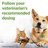 ProZinc Insulin for Cats and Dogs 40 units/ml 10 ml Vial