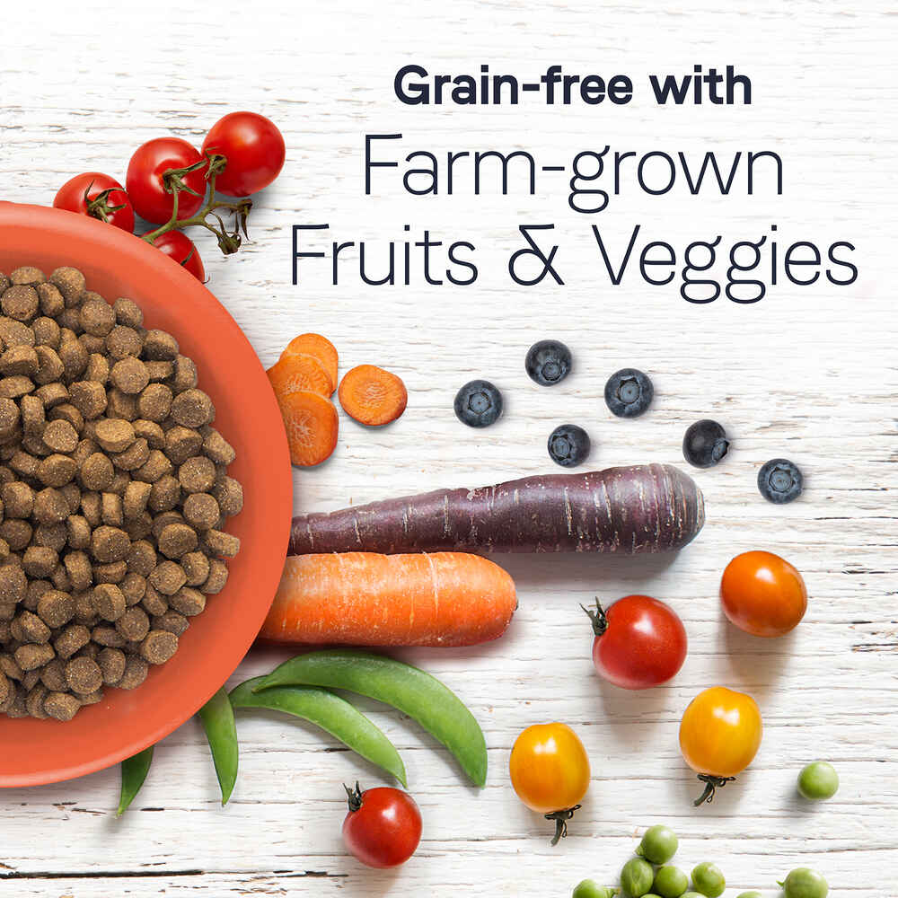 Canidae Under The Sun Grain Free Whitefish Recipe Dry Dog Food