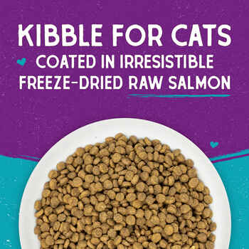 Stella & Chewy's Wild Caught Salmon Flavored Raw Coated Dry Cat Food 2.5 lb