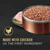 Purina Pro Plan Adult 7+ Senior Complete Essentials Chicken & Rice Entrée Classic Wet Dog Food